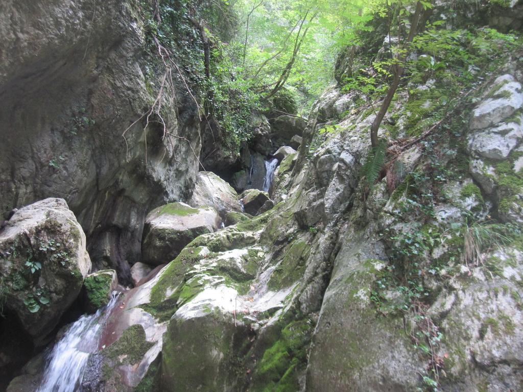 Fossato di Vico Santa Croceヴィラ エクステリア 写真