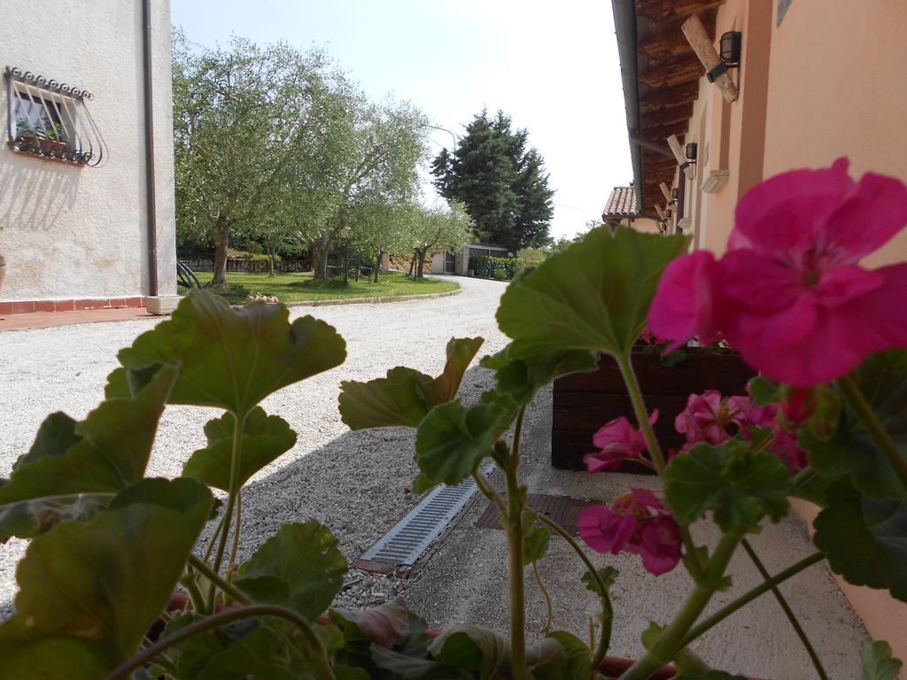 Fossato di Vico Santa Croceヴィラ エクステリア 写真